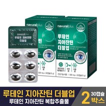 루테인 지아잔틴 눈영양제 뉴테인 누태인 LUTEIN 제아잔틴 복합 추출물 비타민에이 결명자 블루베리 농축 분말 눈에 좋은 건강기능식품 남성 여성 수험생 직장인 노인, 2개, 30캡슐