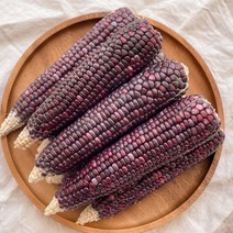 곡성 흑찰옥수수 미흑찰 옥수수 냉동 2팩(6송이), 곡성 흑찰옥수수 냉동 2팩(6송이)