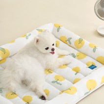 울리 과일프레임 쿨링방석 강아지쿨방석, 새콤사과