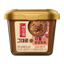 CJ 장 해찬들 그대로 끓여먹는 차돌 된장찌개 양념 된장찌개 집된장 450g 1세트, 2세트