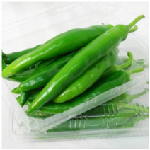 국내산 아삭한 오이맛고추 특품 300g내외 1팩, 300g x 1팩