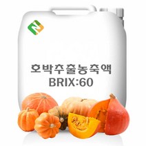 호박추출농축액 20kg, 단품