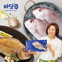 바닷가 국내산 자연산 반건조 참돔 5마리