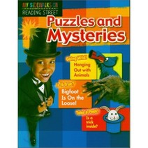 Scott Foresman My Sidewalk Grade 4 (D-4) Puzzles and Mysteries