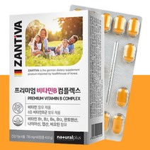 GOGOS B2 라이너 슬리퍼 블루그린, 1개