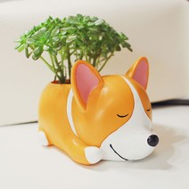 [베리베리] 다육이화분 웰시코기 미니다육이 작은화분 미니화분 다육화분
