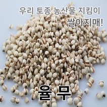 2022년 국산 율무 의이인 율무쌀, 1개, 3kg