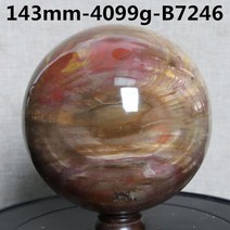 [구공팔몰] 마다가스카르 화석공 천연 화석 볼 공 관상구 목변석 돌공예, B7246