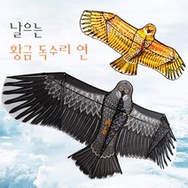 가족 나들이 필수품 추억 연 날리기 독수리, 황금 독수리 (Gold)