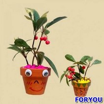 ForU896 미니 토분만들기 5개 식물키우기 만들기수업 만들기재료 방과후만들기