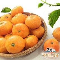 [올찬농산] 제주 하우스감귤 3kg 5-7번과 (25-36과 내외) 중과