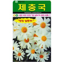 제충국씨앗 200립 천연 살충제 여러해살이 꽃씨, 단품