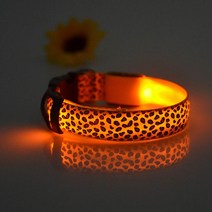 가정용nas 나스 nas 외장 하드 서버 구축 새로운 애완 동물 용품 LED 플래시 개 벨트 발견 도로 밤 밝은 co, 09 colorful_01 30-40X2.5CM