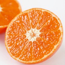 제주 빨간귤 신품종 홍매향 1kg내외 (7-11과/실중량), 1개