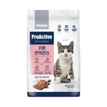 이즈칸 캣 프로액티브 키튼 면역관리 1.2kg 고양이사료, 1개, 단품