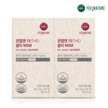 필네이처 관절엔 더(THE) 옵티 MSM /미국산 MSM 순도 99.8% 식이유황, 2박스