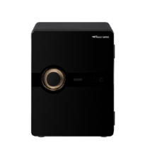 선일금고 이볼브 EV-040 가정용금고 보석함증정 직접설치배송 고객날짜지정가능 선일가정용내화금고, NK블랙+계단배송