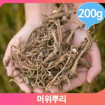 담금주 약주 머위 200g 뿌리 영양 약초 쌉싸름 건강