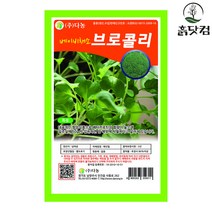 베이비 브로콜리 씨앗 30g 항암식품 베이비채소 종자 + 네임택, 단품