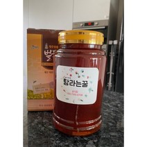 청정제주 봉개꿀 자연숙성꿀 2.4kg 1개, 꿀