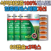 LDL 콜레스테롤 감소 순수 대두 레시틴 대두유 식물성 인지질 세포막 뇌세포 연골세포 식약처인증 기능성원료 혈중 LECITHIN 개선 감소 영양제 추천 선물 40대 50대 60대