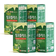 일양약품 서클존 징코플러스 60정 1박스 2박스 3박스, 4개