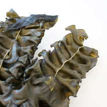 완도매생이협동조합 마른 미역귀 100g, 1팩