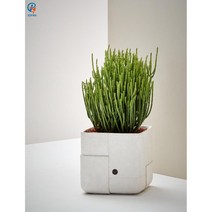 디자인 화분 꽃꽃이 식물 카페 인테리어 대형 화병, 백색 430x430x400mm