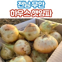 무안 양파 햇양파 하우스양파 중소 특상 2.5kg 4kg 8kg, 특상_햇양파_8kg