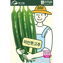 고추 미인풋고추 100립 고추씨 씨앗 대장 아시아종묘