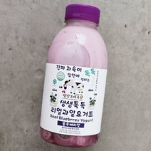 평창보배목장 블루베리맛 요거트 500ml, 단품