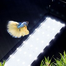 미미네아쿠아 올화이트 LED 어항조명 1자등 30-40, 단품없음