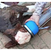 소 출산용품 축산 염 양 아기 수 빼주는 기계 흡입기 숨트임 도움 축사 송아지 가래, [02] 알루미늄 합금 파란색 송아지 호흡기 보호구(스