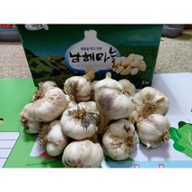 남해마늘 남해햇마늘, 1box, 10kg 대