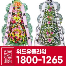 위드유플라워 전국당일꽃배달 축하화환 & 근조화환 [당일배송], 1. 축하화환 초저가형A (특별시/광역시만 가능)