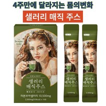 혈관질환개선 장운동 섬유질풍부 라본즈아 샐러리매직주스 이너뷰티 식이섬유 피부고민개선 체중관리 사은품지급, 샐러리매직주스4박스(14포x4)