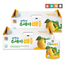 어린이 수세미배즙 30포+30포 총 60포x100ml 음료 주스 간식 선물포장 순수식품, [4박스/총120포] 수세미배즙