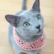 러블리 펫 케이프, 1.코랄