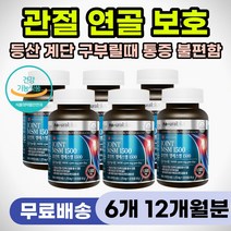 손가락 마디 저릴때 저림 무릎 구부릴때 통증 아플때 연골 관절 MSM 엠에스엠 조인트 무릅 발목 팔목 손목 어깨 허리 삐었을때 삐끗했을때 영양제 시큰거릴때 뼈마디 뼈 시릴때 추천