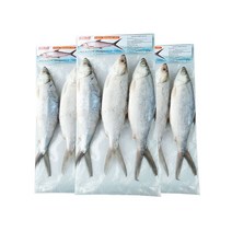 밀크피쉬 1kg 냉동