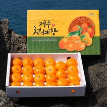 인하네 제주 천혜향 3kg 5kg 과일 선물 세트, 1박스, 천혜향_3kg_가정용(대향)