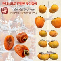 프리미엄 곶감 만들기 가정용 곶감 반건시 걸이곶감 곶감만들기 셀프곶감 곶감걸이 자연바람곶감 과일건조기 건조기 4방향행거 강력한프레임 높낮이조젏 자연건조곶감 부드러운곶감 천연방식곶감 집에서곶감 곶감걸이핀 걸이핀 가정용곶감 가정용곶감만들기 곶감건조대 반건시반들기, 꼭지핀, 꼭지핀