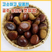 국산 공주 정안 알밤 2kg 특대, [칼집X]공주 정안 알밤(특대)2kg