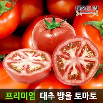 이츠올릿 대추 방울 찰 토마토 2팩 1.5kg 못난이 단 토마토