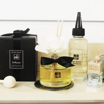 에떼 실버마운틴워터 차량용 고급디퓨저 100ml 방향제 B08, D도손