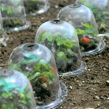 온실하우스 다육농장 스마트팜 옥상 텃밭 베란다 소형 10 인치 재사용 가능한 플라스틱 온실 정원 cloche 돔 식물, 없음