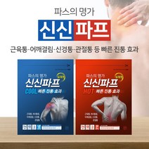 신신제약 신신파프 쿨/핫 5매입, 5개, 1개