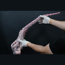 [지방제거] 국내산 한우 소꼬리 알꼬리 1kg, [특가] 꼬리 1kg + 스지 400g