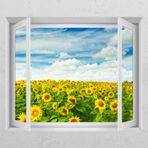 아트박스/꾸밈 cc065-기분좋은해바라기_디자인시트지, E타입-모던블랙