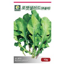 갑조네 잎줄기채소 씨앗 모음, 루꼴라(씨앗), 1개